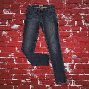 Pre-Loved Banana Republic Jeans-Size 28/8P